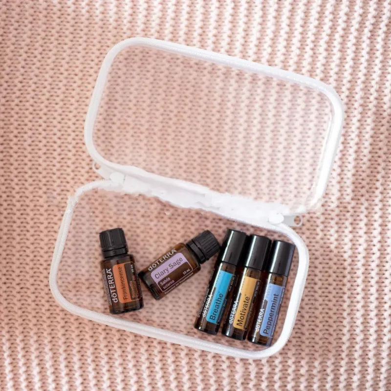 Clear Travel Organizer